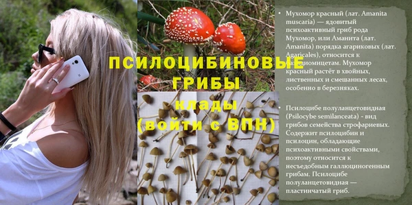 дживик Навашино
