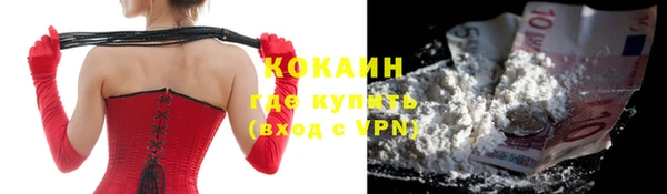 дживик Навашино