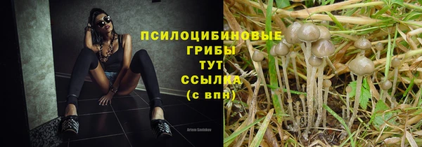 дживик Навашино